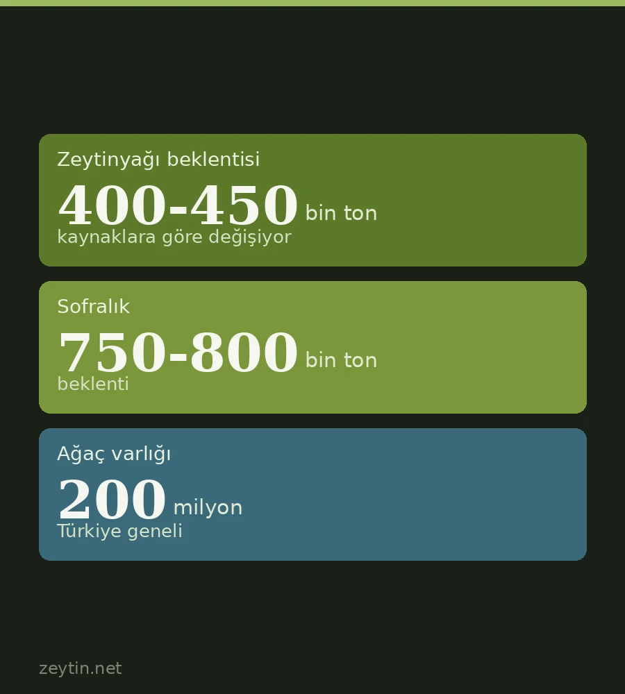 The 2026/27 season opens: first harvests in Ayvalık, Gemlik and Bozcaada