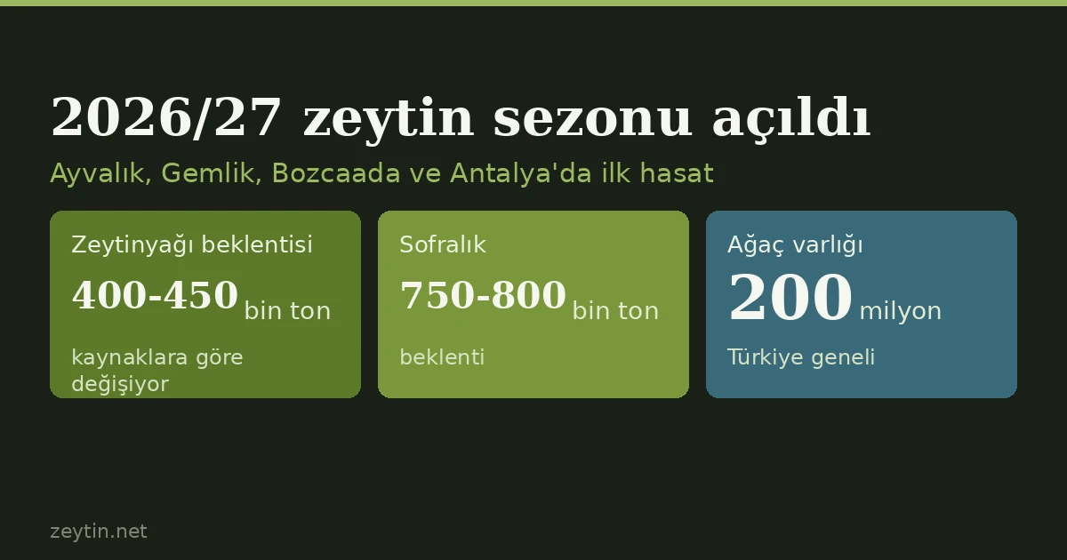 The 2026/27 season opens: first harvests in Ayvalık, Gemlik and Bozcaada