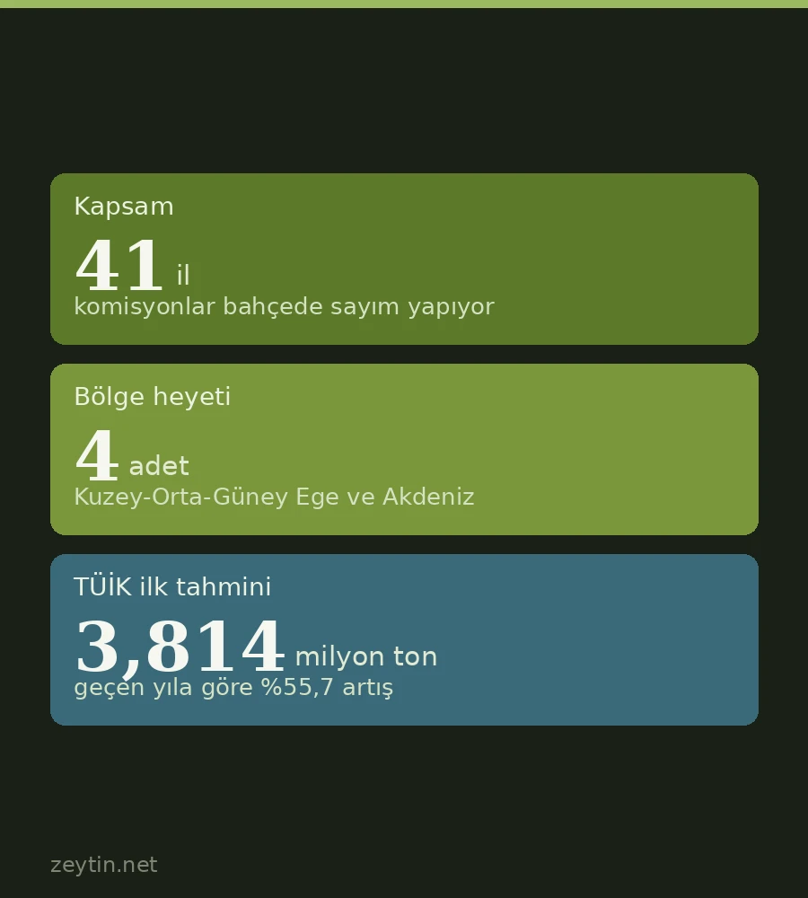 The official olive figure is measured in the grove: Türkiye's 2026 crop survey is under way
