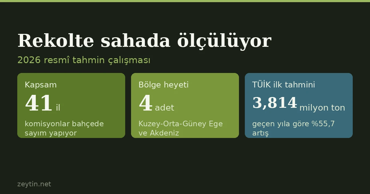 The official olive figure is measured in the grove: Türkiye's 2026 crop survey is under way
