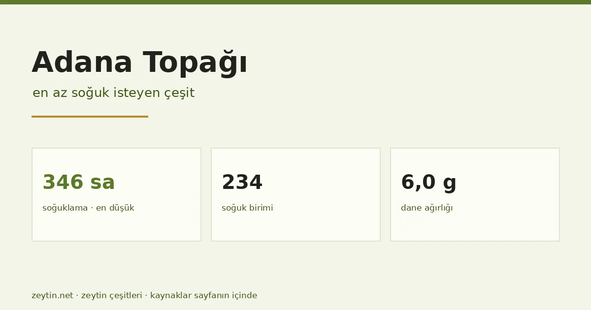 Adana Topağı: the olive cultivar that needs the least cold
