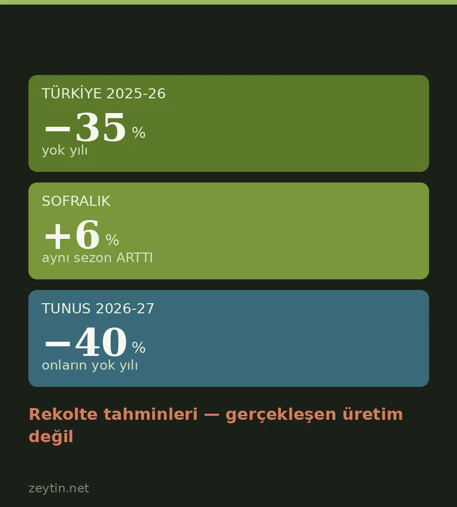 Türkiye yok yılından çıkarken Tunus giriyor: Akdeniz'de ters faz