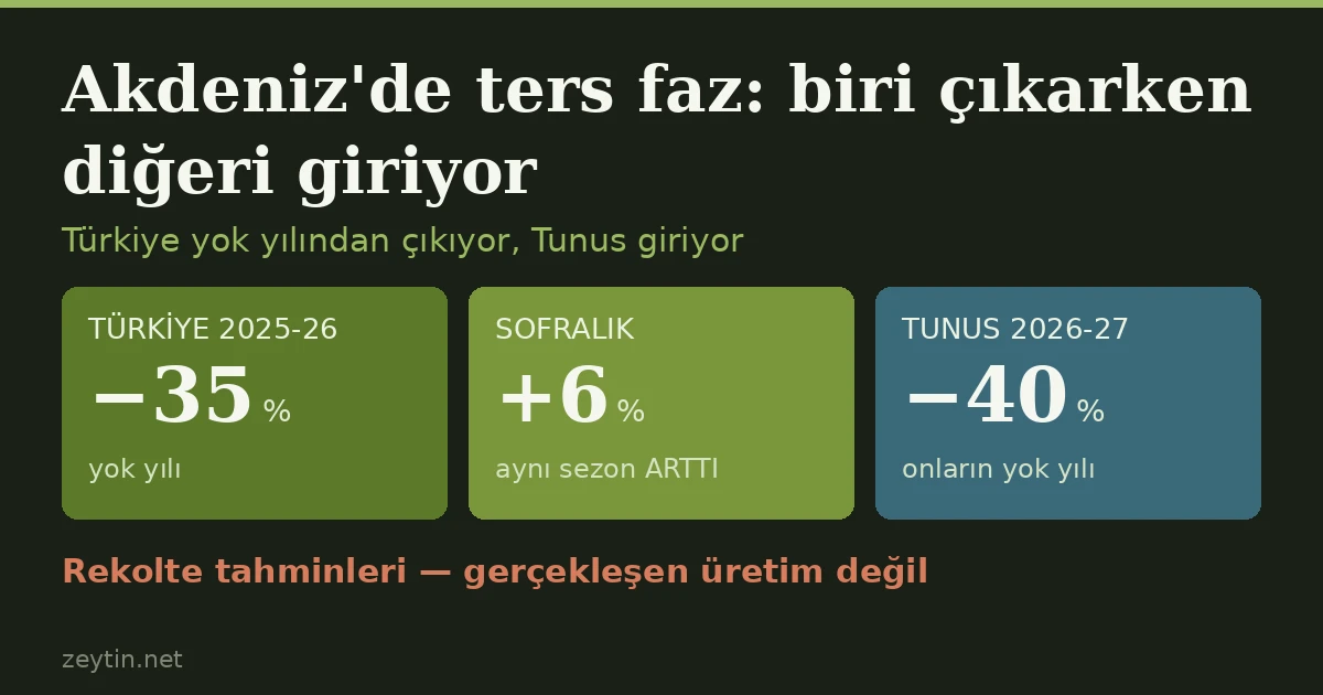 Türkiye yok yılından çıkarken Tunus giriyor: Akdeniz'de ters faz