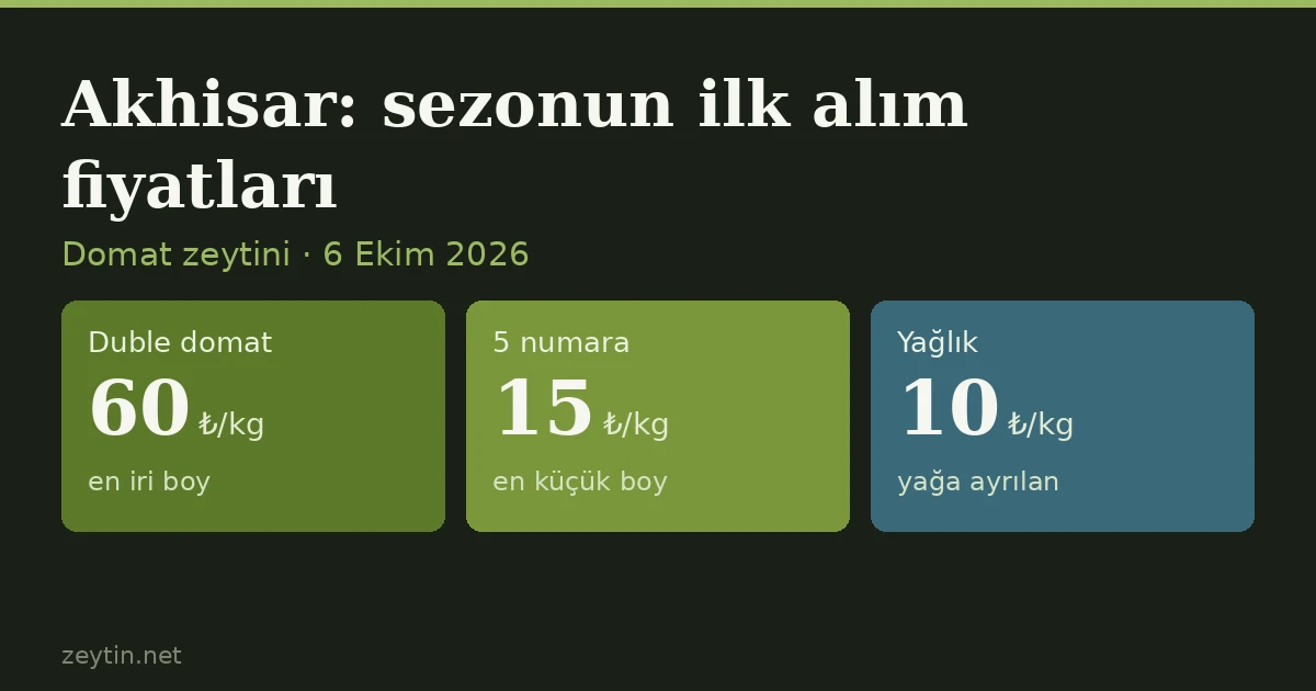 Akhisar'da ilk alım fiyatları: duble domat 60, yağlık 10 lira