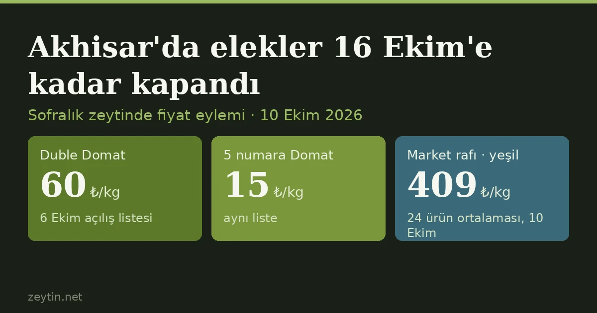 Akhisar'da elekler 16 Ekim'e kadar kapandı: sofralık zeytinde fiyat eylemi iki havzaya yayıldı
