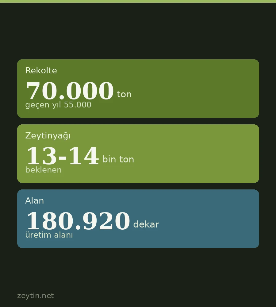 Antalya's crop is up 30%: of 70,000 tonnes of olives, 55,000-60,000 head for the mill