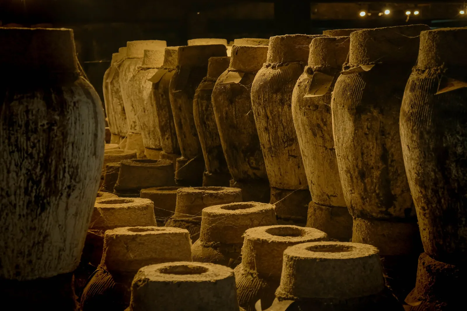 The Olive Oil Trade in the Ancient World