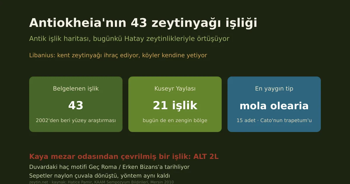 The 43 olive oil workshops of Antiokheia: two thousand years of continuity in Hatay