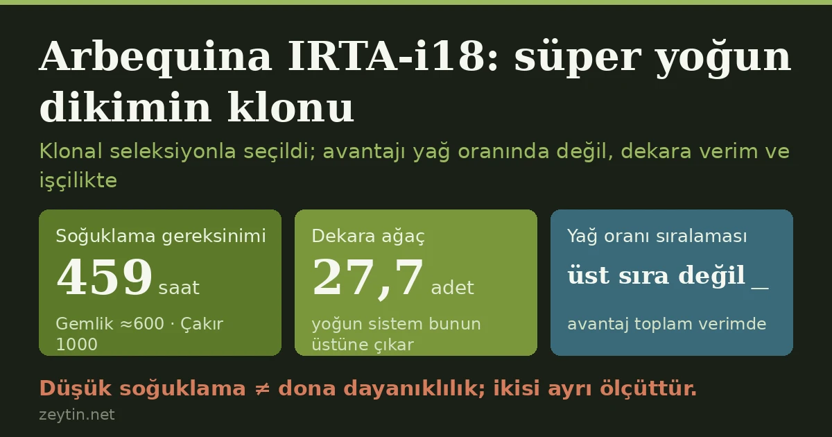 Arbequina IRTA-i18: the clone behind super-high-density olive groves