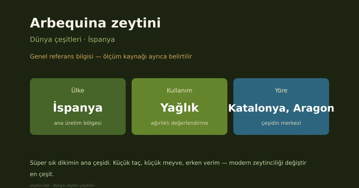 Arbequina zeytini: İspanya'nın yağlık çeşidi