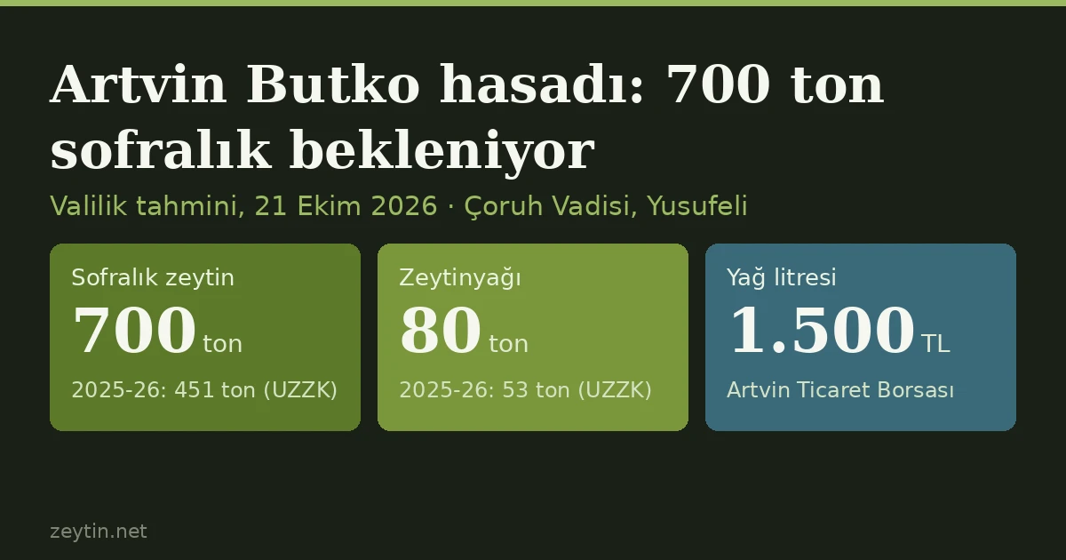 Artvin'de Butko hasadı başladı: 700 ton sofralık zeytin, 80 ton yağ bekleniyor
