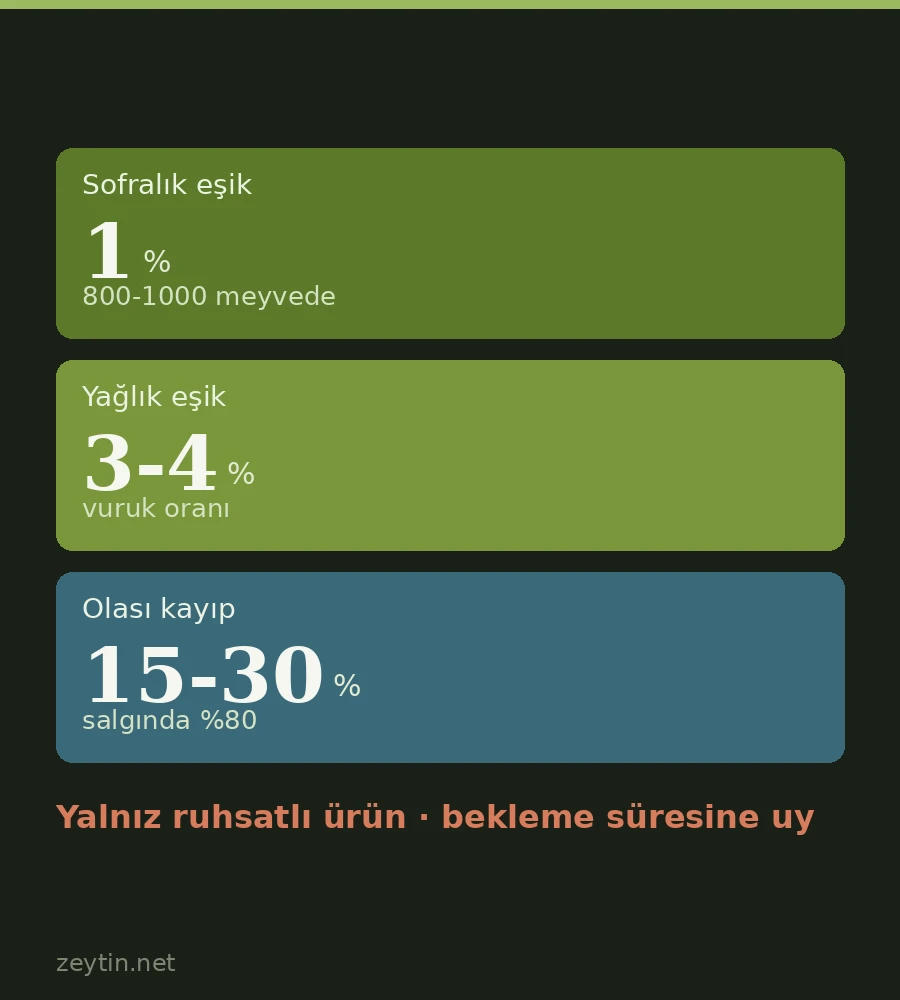 Olive fruit fly warning before harvest in Aydın: check groves, spray only above the threshold
