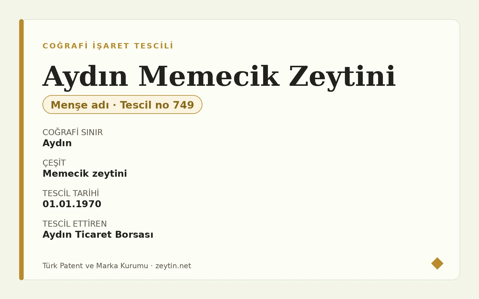 Aydın Memecik Olive: grafted on wild rootstock, a tree that yields for a century Aydın Memecik Olive: grafted on wild rootstock, a tree that yields for a century