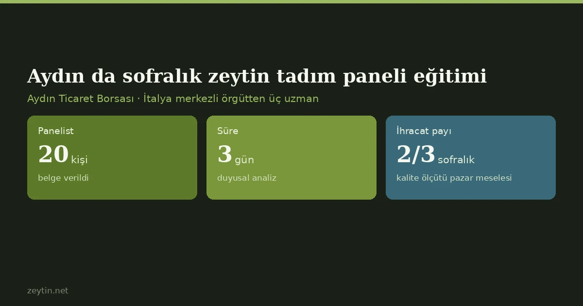 Table olive tasting panel training in Aydın Table olive tasting panel training in Aydın