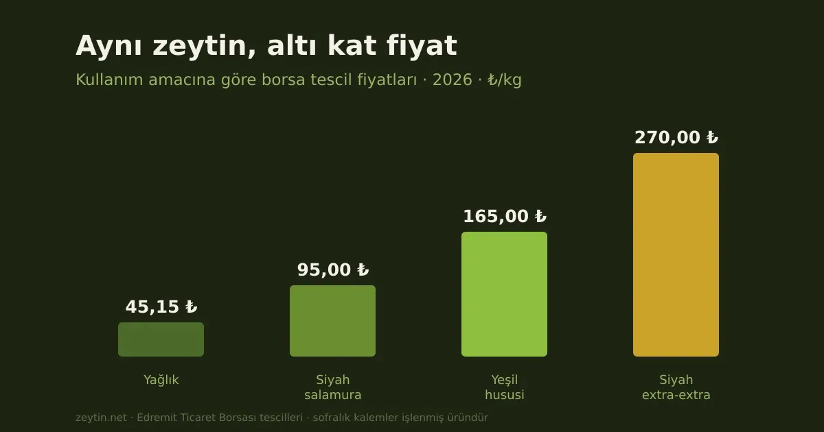 Aynı zeytin, altı kat fiyat: sofralığın sessiz üstünlüğü
