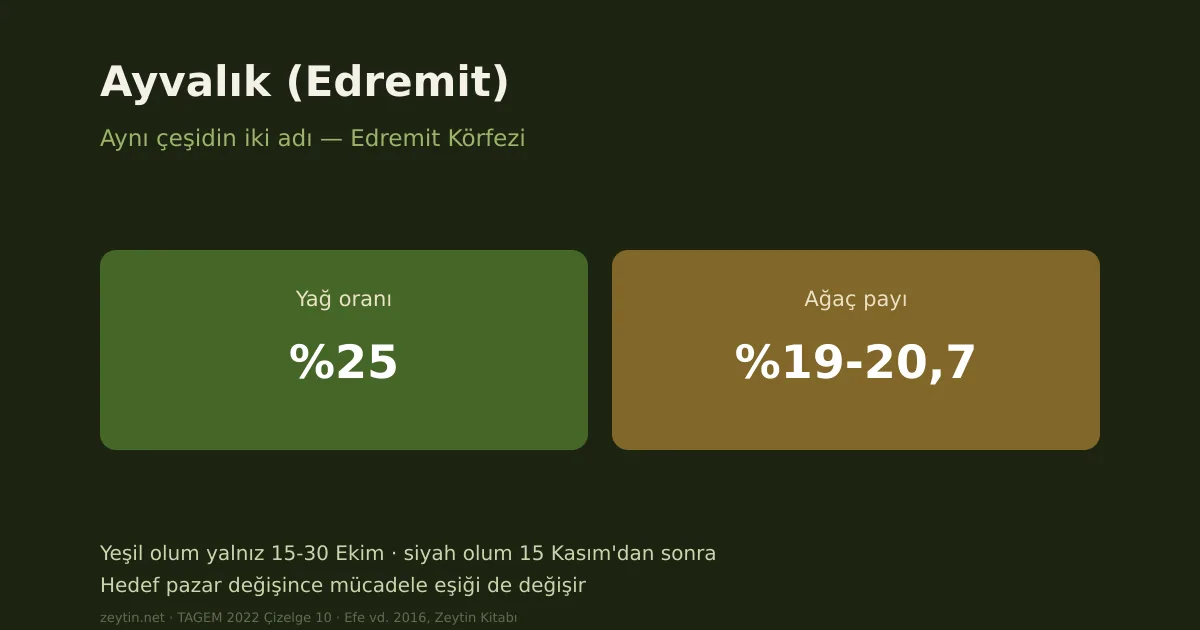 The Ayvalık (Edremit) olive: one variety, two names