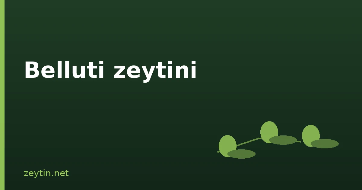 Belluti zeytini