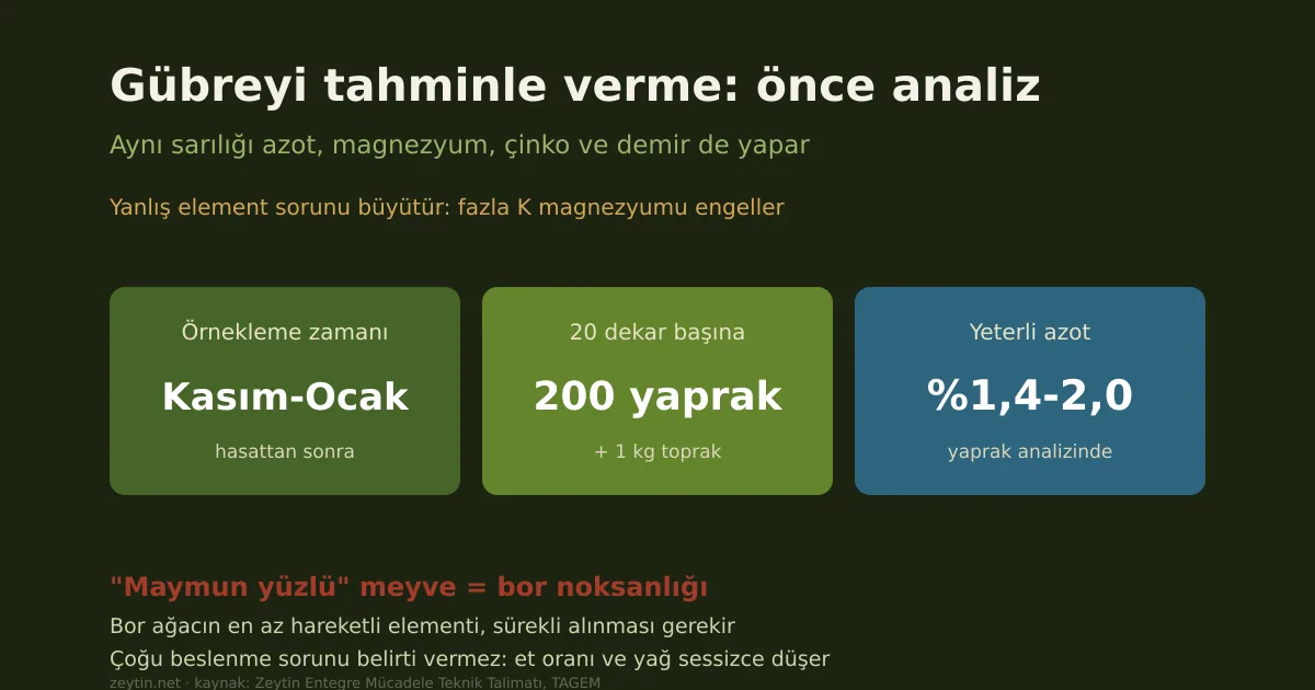 Zeytinde besin elementi noksanlıkları: belirtiden elemente