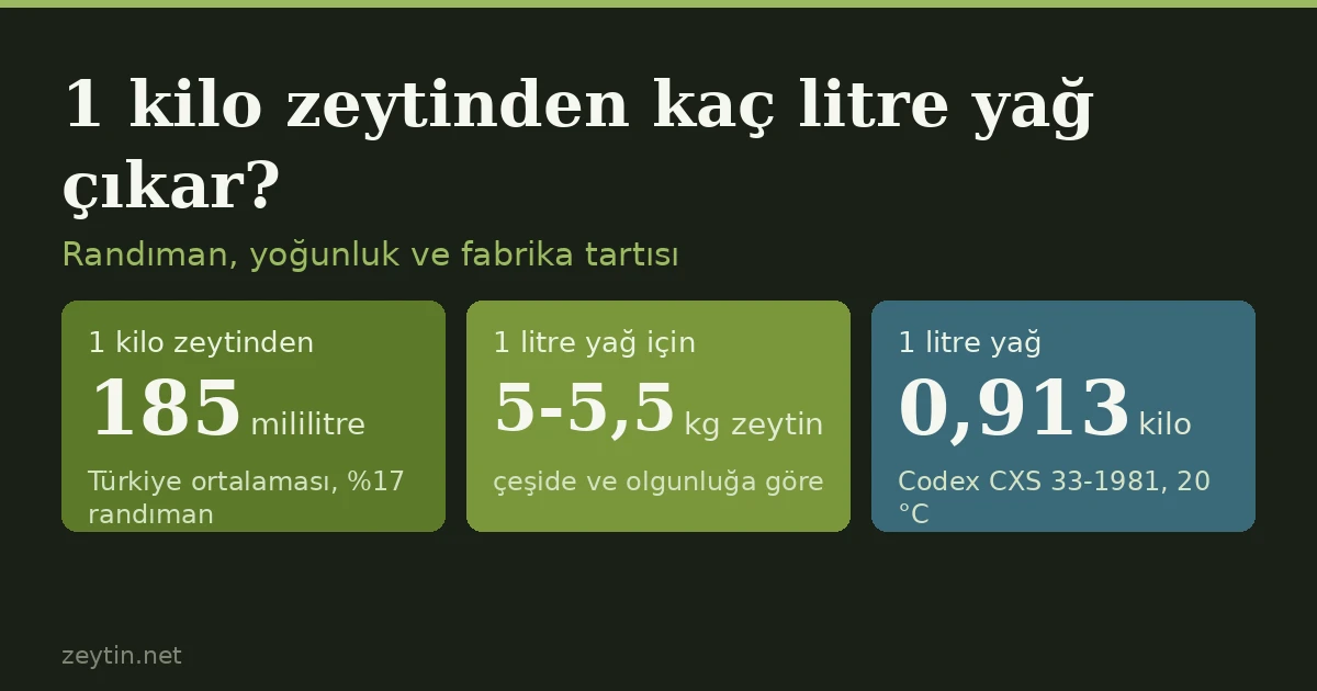 1 kilo zeytinden kaç litre zeytinyağı çıkar?