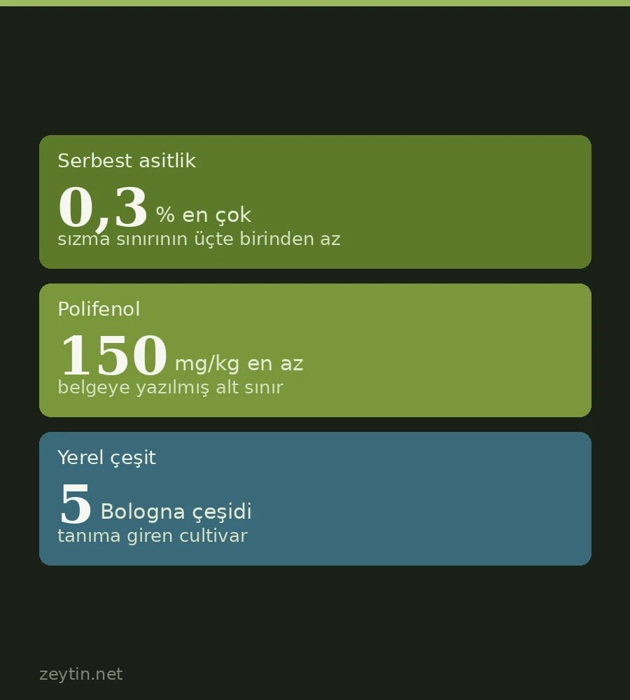 The EU's newest olive oil registration is in northern Italy: Olio dei Colli di Bologna gets PGI status