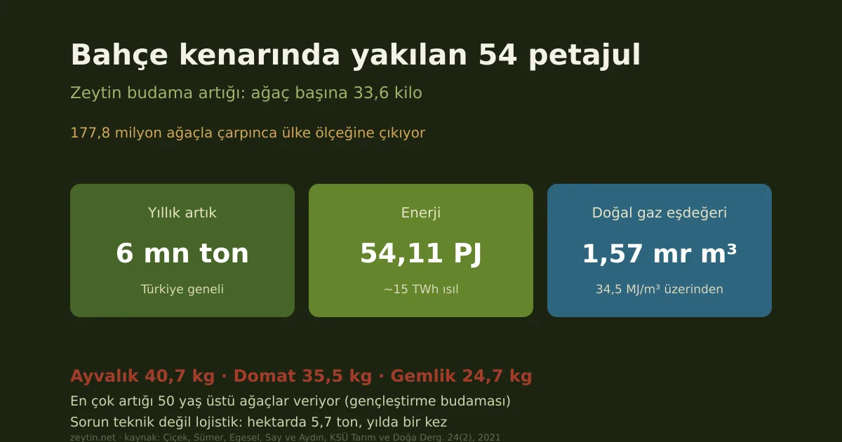 Bahçe kenarında yakılan enerji: zeytin budama artığı