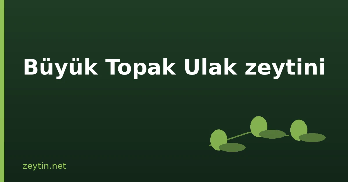 Büyük Topak Ulak olive