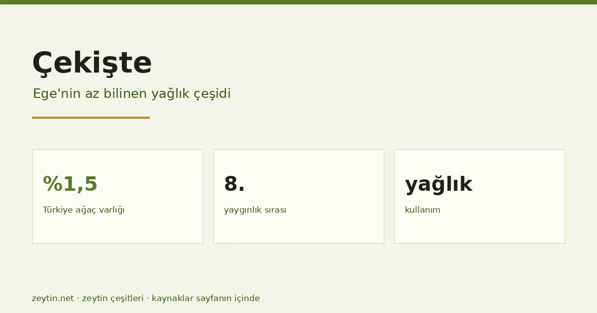 The Çekişte olive: the Aegean's lesser-known oil cultivar