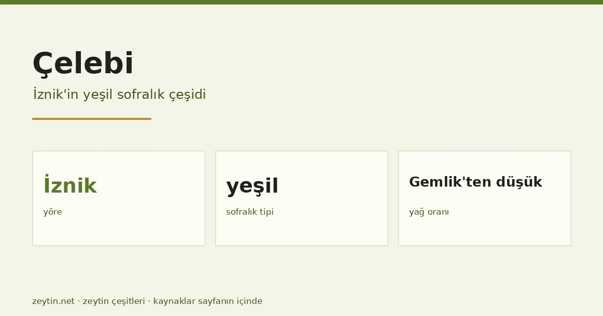 The Çelebi olive: the green table cultivar of İznik