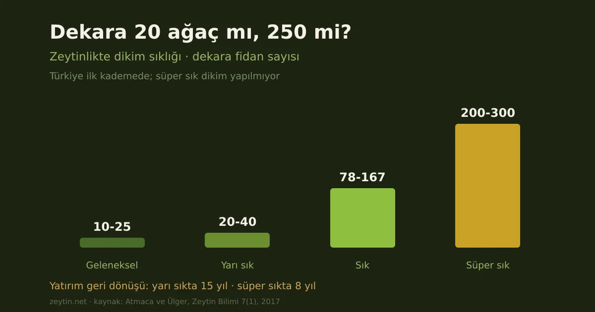 Twenty trees per decare, or 250? The density debate