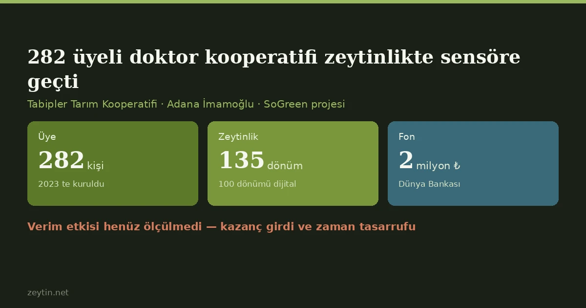 A 282-member doctors' cooperative puts sensors in the olive grove