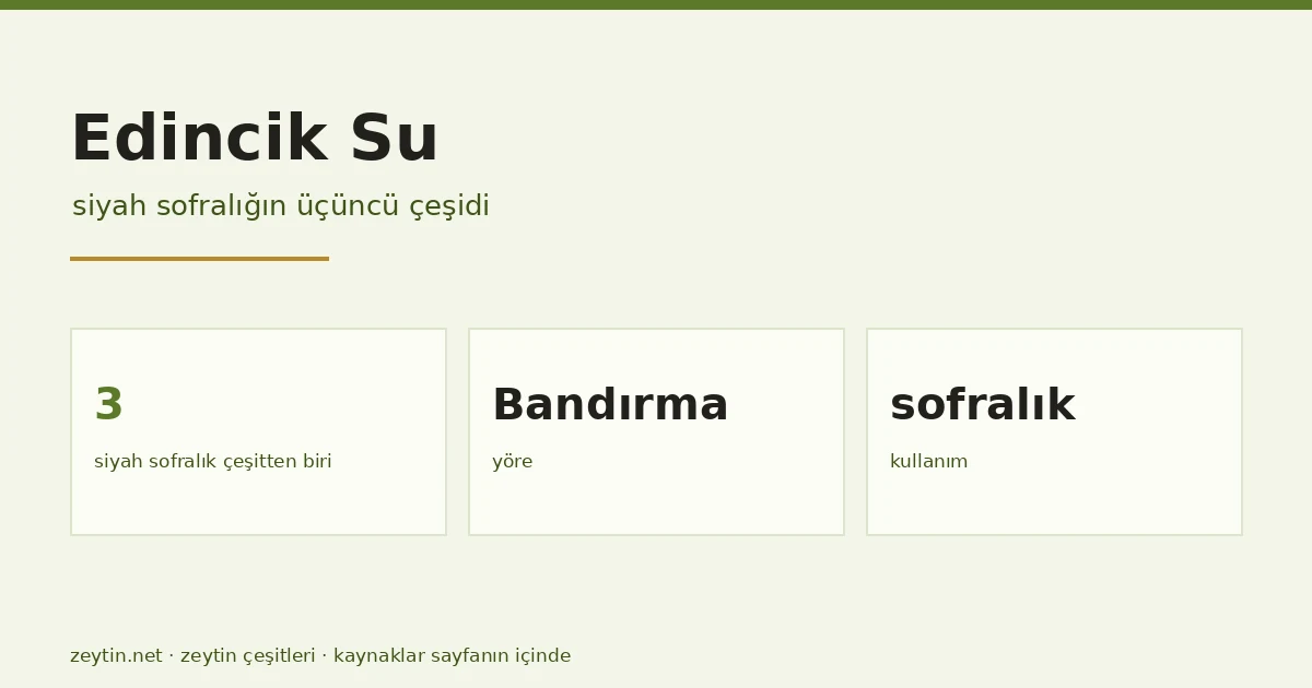 The Edincik Su olive: the third black-table cultivar