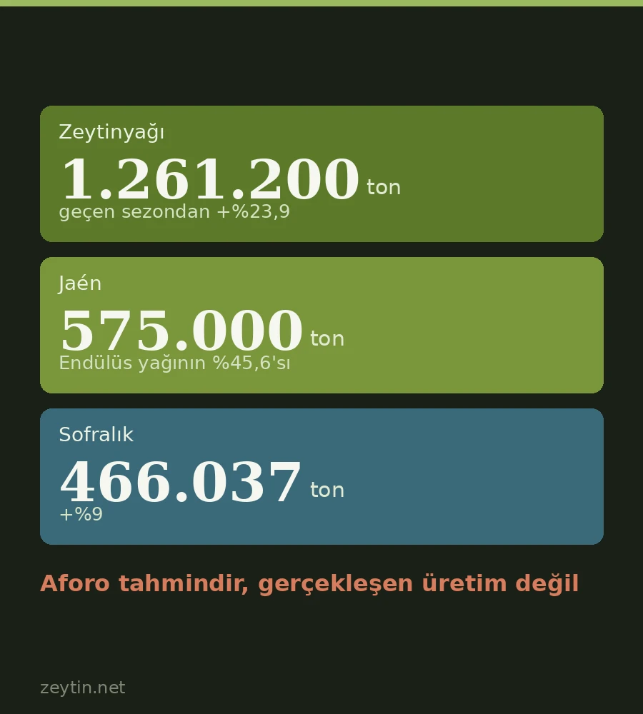 Andalusia finally puts a number on it: 1.26 million tonnes of olive oil, up 24%