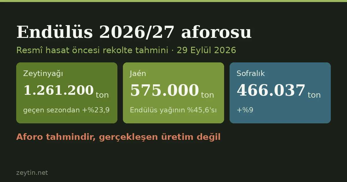 Andalusia finally puts a number on it: 1.26 million tonnes of olive oil, up 24%