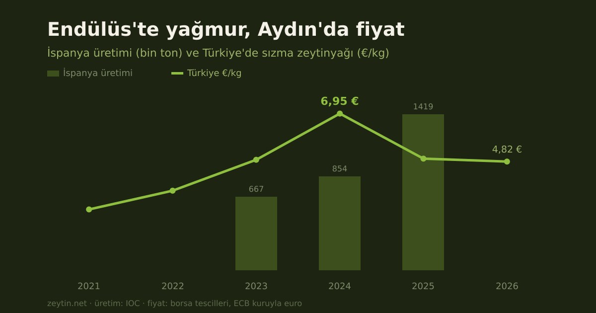 Rain in Andalusia, prices in Aydın: how Spain's drought set the price in Türkiye