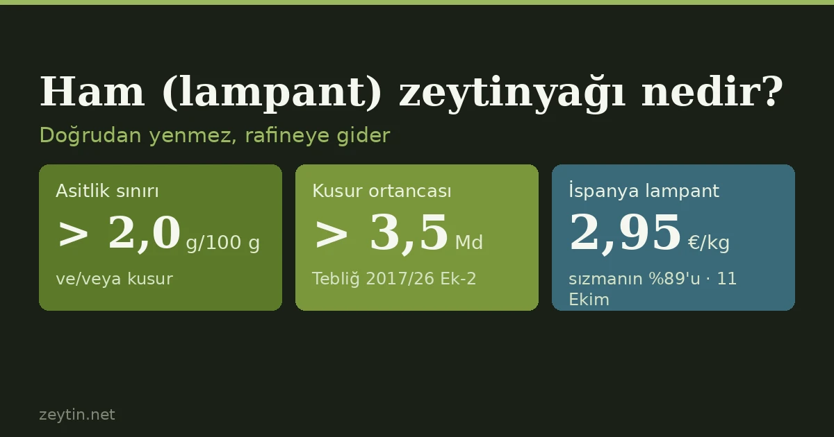 Ham (lampant) zeytinyağı nedir, neden doğrudan yenmez?