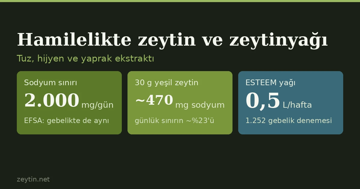Hamilelikte zeytin ve zeytinyağı yenir mi? Nelere dikkat etmeli?