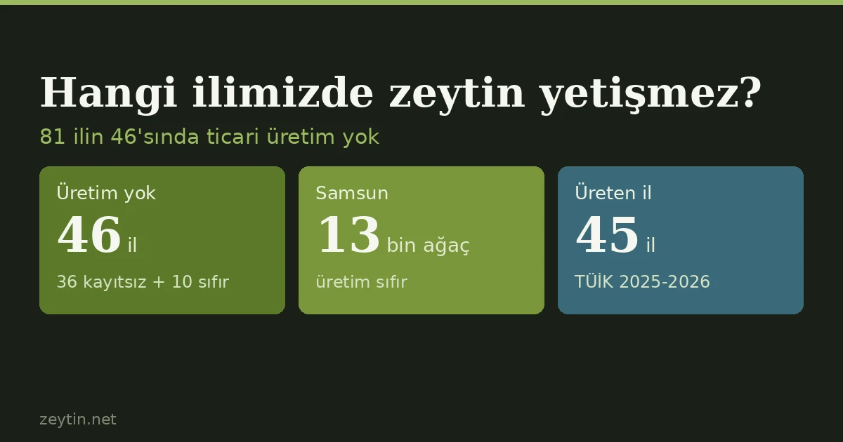 Which provinces in Turkey grow no olives?