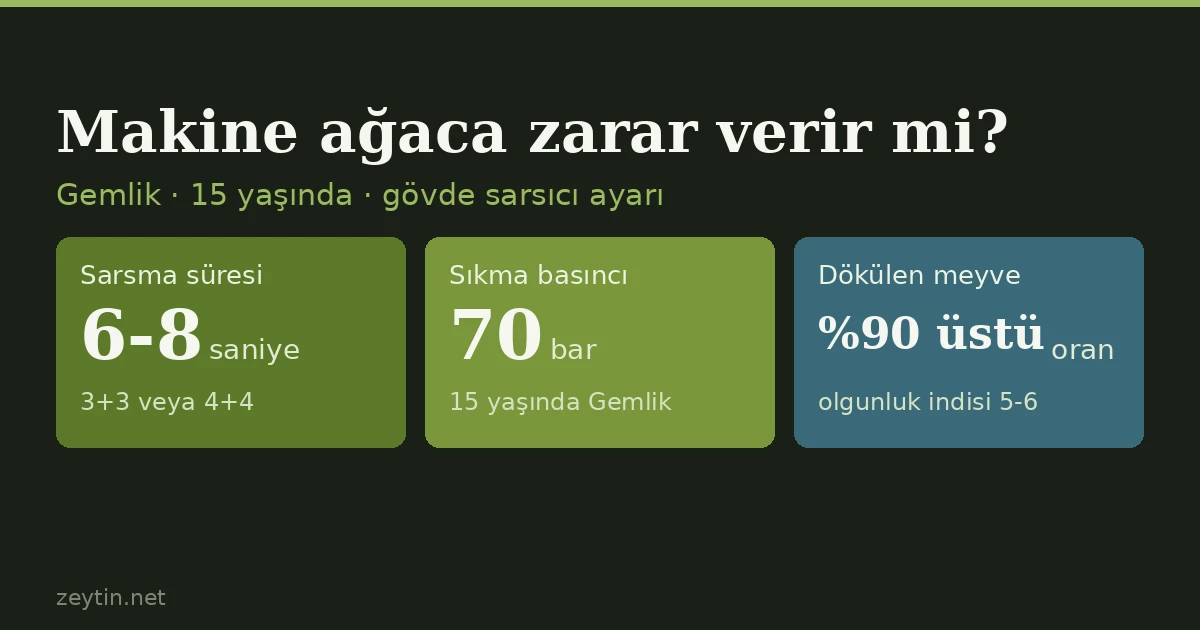 Hasat makinesi zeytin ağacına zarar verir mi?