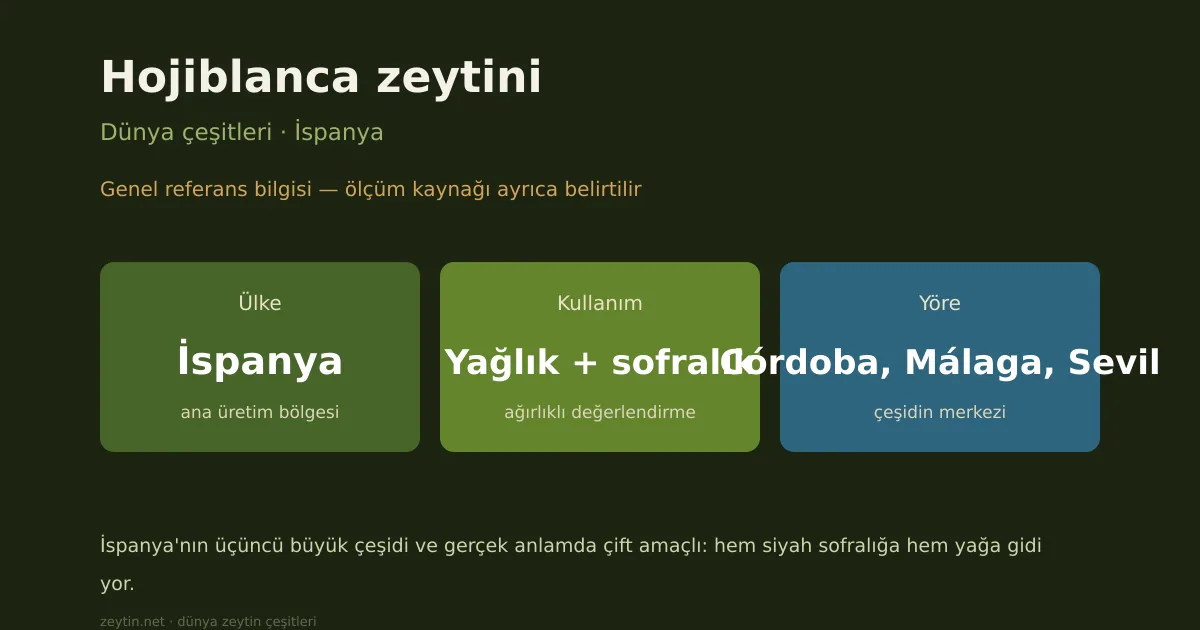 Hojiblanca zeytini: İspanya'nın yağlık + sofralık çeşidi