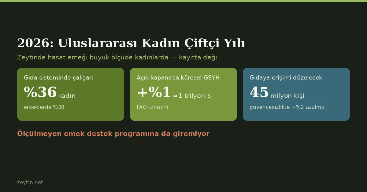 BM 2026'yı Kadın Çiftçi Yılı ilan etti: zeytinde emek kadınlarda, kayıt değil
