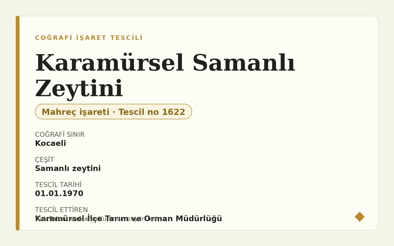 Karamürsel Samanlı Zeytini: acılığı düşük olduğu için "tatlı zeytin"
