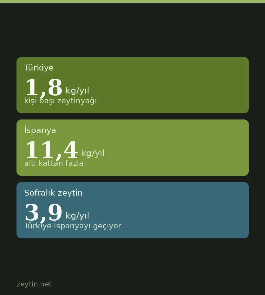 How much olive oil does one person in Türkiye consume?