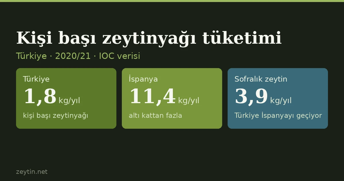 Türkiye'de kişi başı zeytinyağı tüketimi kaç kilo?