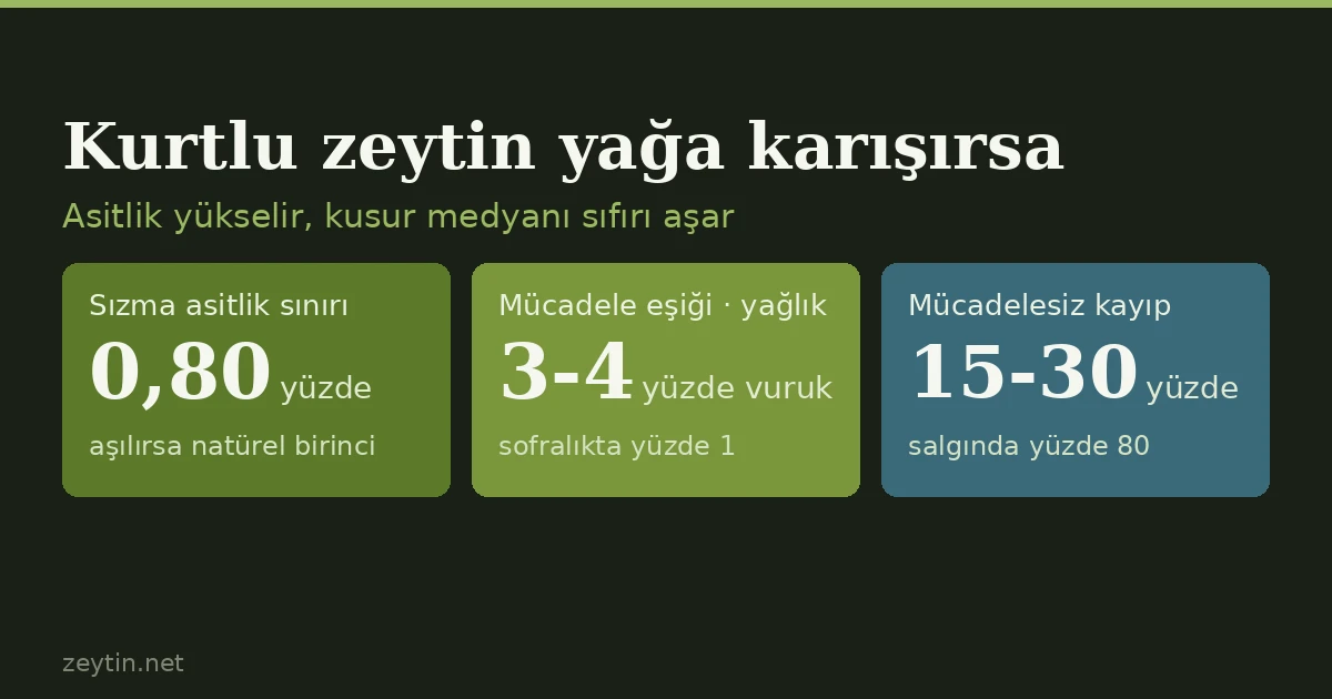 Kurtlu zeytin yağa karışırsa ne olur?