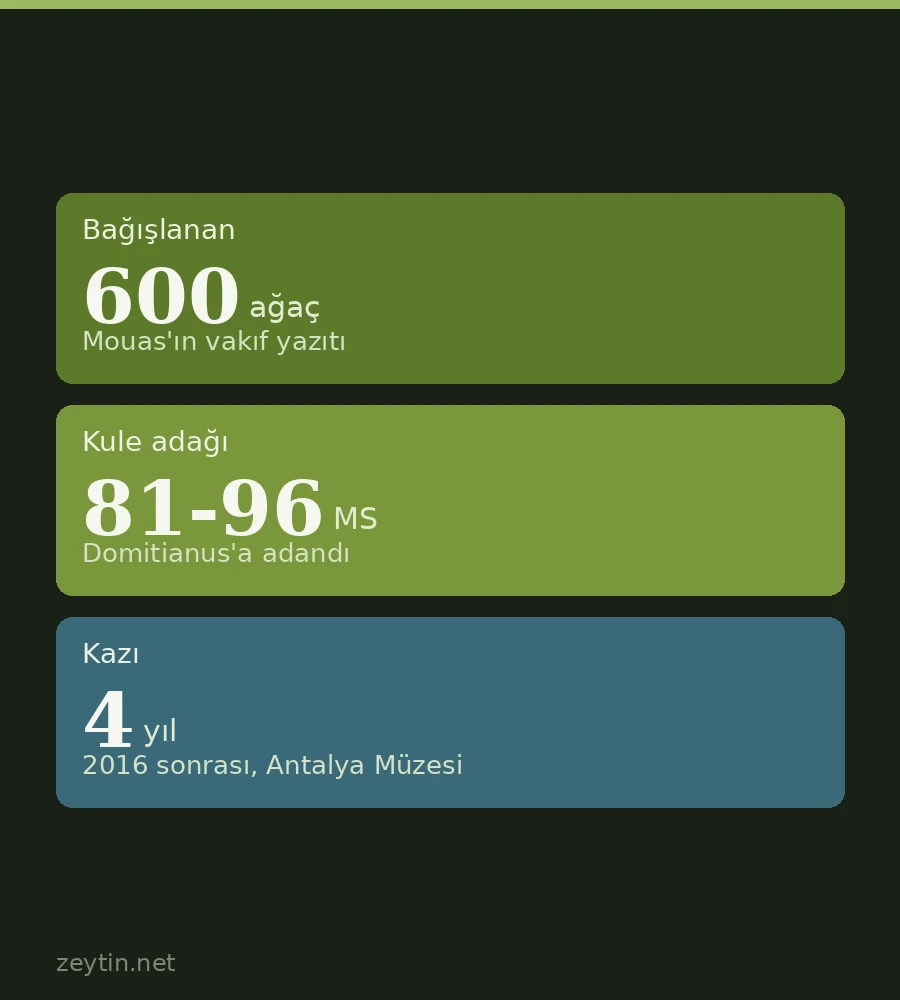 Antalya'da 2 bin yıllık zeytinlik vakfı: 600 ağaç, “kesilemez, satılamaz” kaydıyla