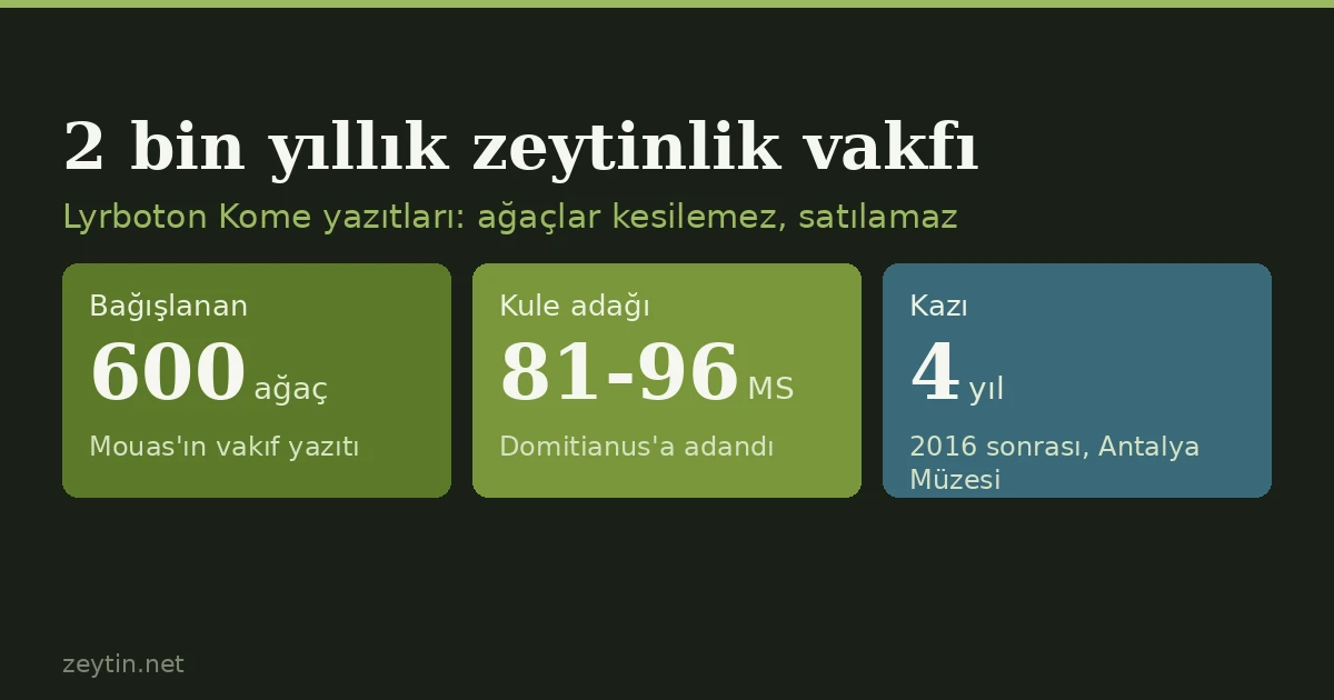 Antalya'da 2 bin yıllık zeytinlik vakfı: 600 ağaç, “kesilemez, satılamaz” kaydıyla