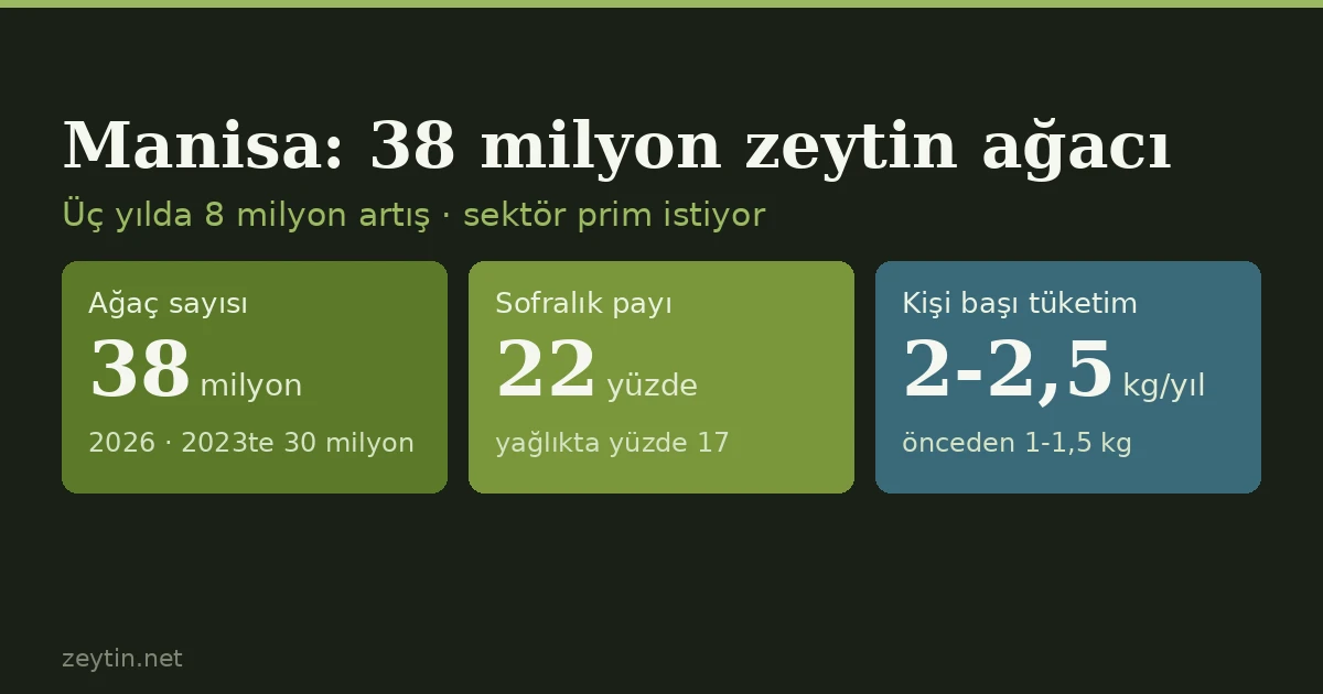 Manisa'da zeytin ağacı 38 milyona çıktı: üç yılda 8 milyon artış, sektörden prim talebi