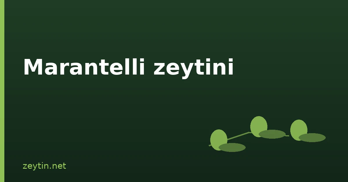Marantelli zeytini