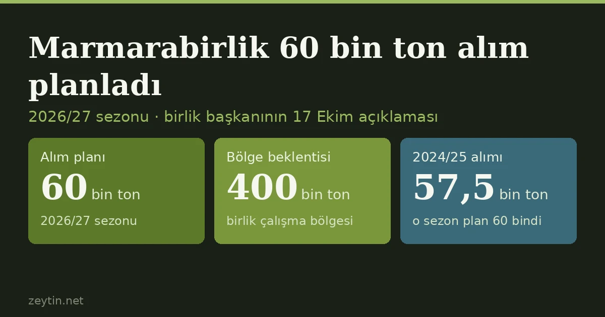 Marmarabirlik 60 bin ton zeytin almayı planlıyor: bölgede beklenen 400 bin tonun yüzde 15'i