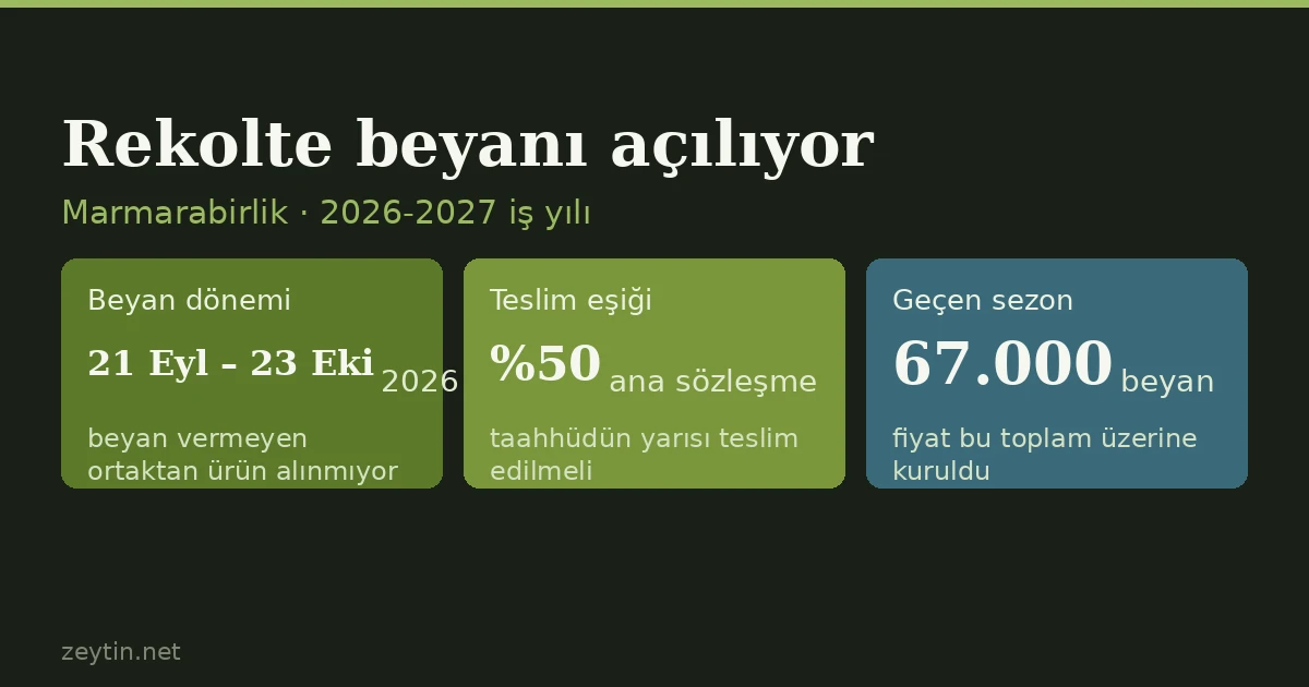 Marmarabirlik'te rekolte beyanı 21 Eylül'de açılıyor: beyan vermeyen ortağın zeytini alınmıyor